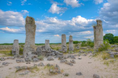 Bulgaristan 'ın Varna kenti yakınlarındaki Taş Ormanı