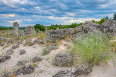 Bulgaristan 'ın Varna kenti yakınlarındaki Taş Ormanı