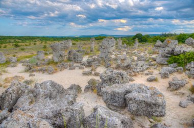 Bulgaristan 'ın Varna kenti yakınlarındaki Taş Ormanı
