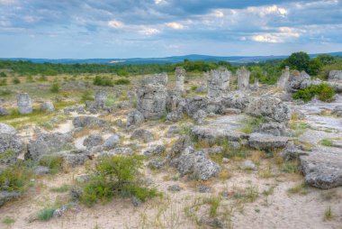 Bulgaristan 'ın Varna kenti yakınlarındaki Taş Ormanı