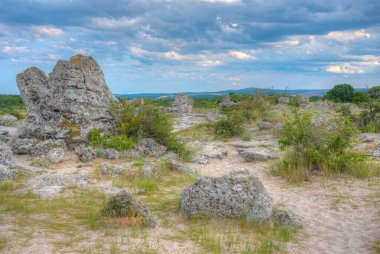 Bulgaristan 'ın Varna kenti yakınlarındaki Taş Ormanı