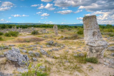 Bulgaristan 'ın Varna kenti yakınlarındaki Taş Ormanı