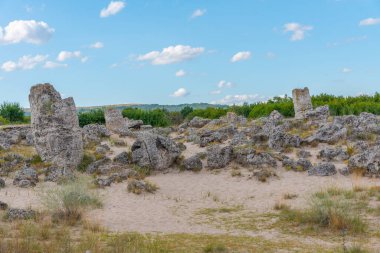 Bulgaristan 'ın Varna kenti yakınlarındaki Taş Ormanı