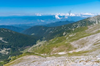 Bulgaristan 'daki Pirin Ulusal Parkı tepelerinde yayılan ormanlar