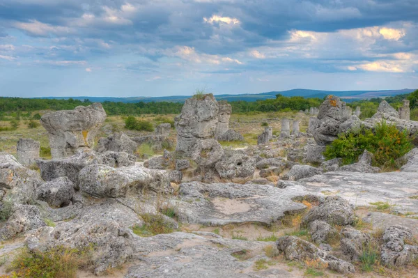 Stone Forest Nær Varna Bulgarien - Stock-foto