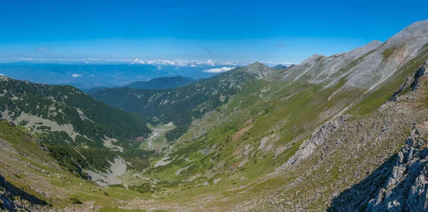 Bosques Que Extienden Sobre Colinas Del Parque Nacional Pirin Bulgari —  Fotos de Stock