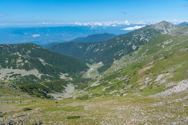 Panorama Del Parque Nacional Pirin Bulgaria —  Fotos de Stock