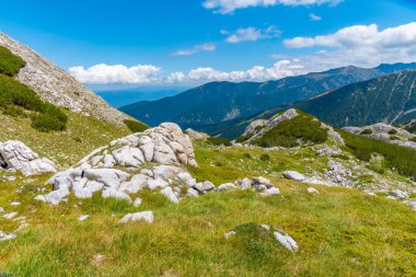 Bulgaristan 'daki Pirin Ulusal Parkı tepelerinde yayılan ormanlar