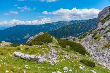 Bulgaristan 'daki Pirin Ulusal Parkı tepelerinde yayılan ormanlar