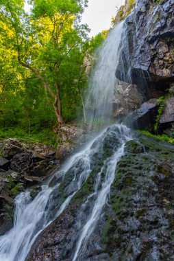 Bulgaristan 'daki Vitosha dağında Boyana şelalesi