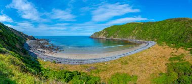 Yeni Zelanda 'nın Katlin bölgesinde kükreyen körfez