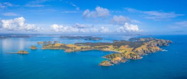Yeni Zelanda 'daki Urupukapuka adasının havadan görünüşü