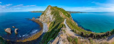 Yeni Zelanda 'nın Katlin bölgesinde kükreyen körfez
