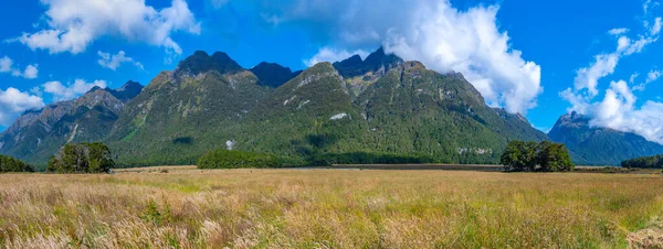 Paisaje Perillas Plano Nueva Zelanda — Foto de Stock