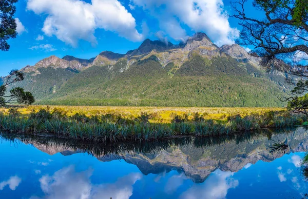 Дзеркальні Озера Прямують Мілфордської Протоки Нова Зеландія — стокове фото