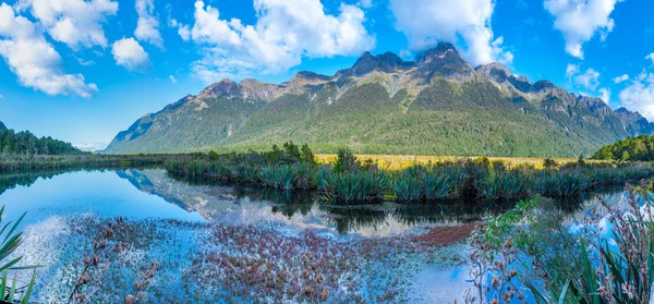 Mirror Lakes Way Milford Sound New Zealan — Stock Photo, Image