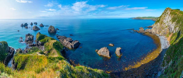 Die Nuggets Felsige Inseln Nugget Point Neuseeland — Stockfoto