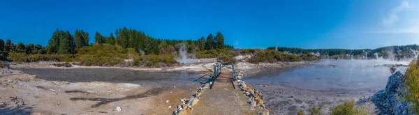 Hell's Gate Geothermal Reserve in New Zealan