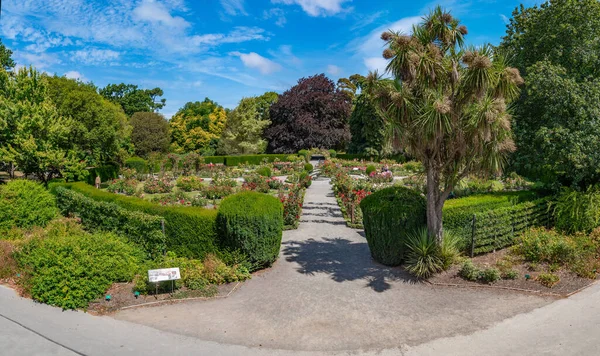 Rosengarten Botanischen Garten Von Christchurch Neuseeland — Stockfoto