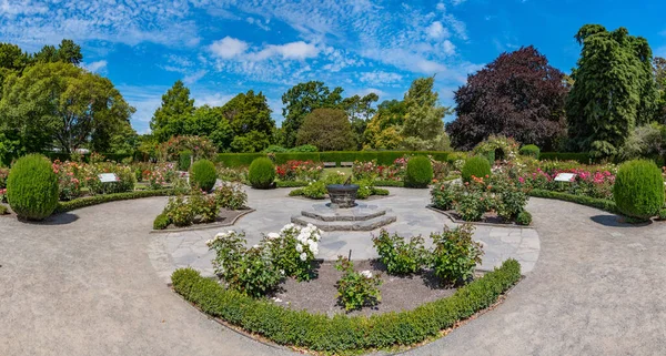 Rosengarten Botanischen Garten Von Christchurch Neuseeland — Stockfoto