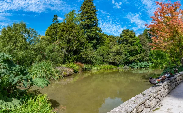 Jardin Eau Christchurch Jardin Botanique Nouvelle Zélande — Photo