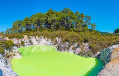 Yeni Zelanda 'daki Wai-O-Tapu' da Roto Karikitea Gölü