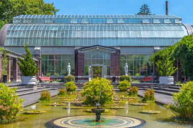 Yeni Zelanda 'daki Auckland Domain Kış Bahçeleri
