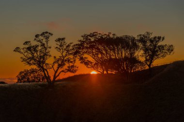 Auckland, Yeni Zelanda 'daki Cennet Dağı' nın gün doğumu manzarası