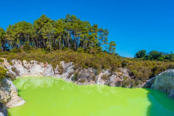 Lago Roto Karikitea Wai Tapu Nova Zelândia — Fotografia de Stock