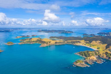 Yeni Zelanda 'daki Urupukapuka adasının havadan görünüşü