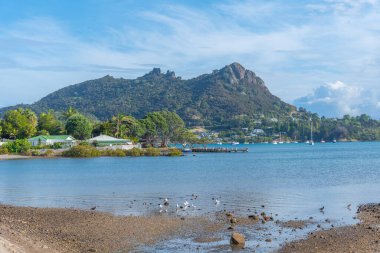 Yeni Zelanda 'daki Whangarei Kafalarının manzarası
