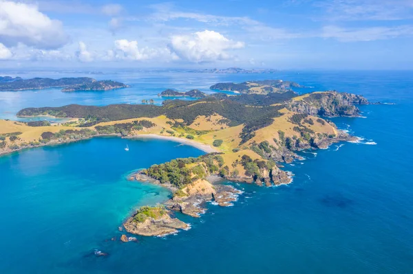 Вид Повітря Острів Урупукапука Новій Зеландії — стокове фото