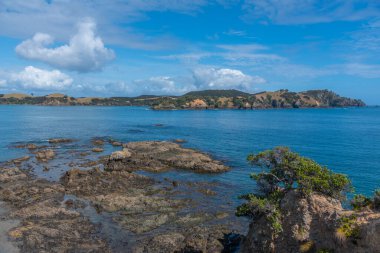 Yeni Zelanda 'daki Urupukapuka adasının havadan görünüşü