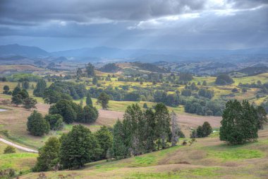 Landscape of Northland region in New Zealand clipart