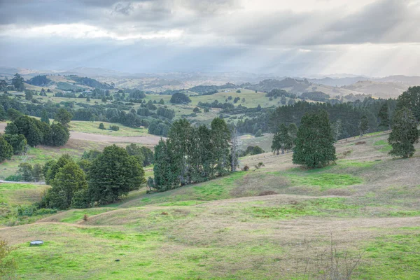 Krajobraz Regionu Northland Nowej Zelandii — Zdjęcie stockowe