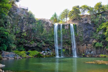 Whangarei falls at New Zealand clipart