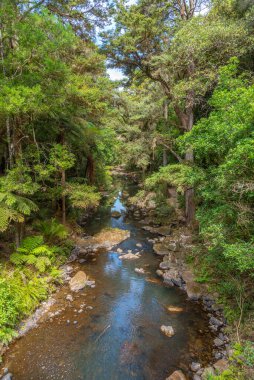 Hatea river near Whangarei falls at New Zealand clipart