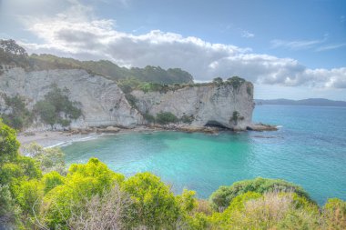 Yeni Zelanda 'daki Coromandel yarımadasındaki Stingray Körfezi