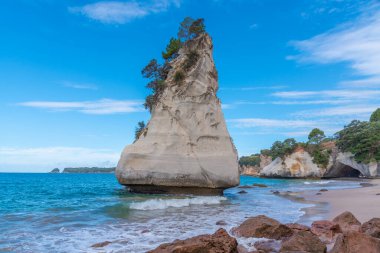 Yeni Zelanda 'daki Coromandel yarımadasında Te Hoho rock
