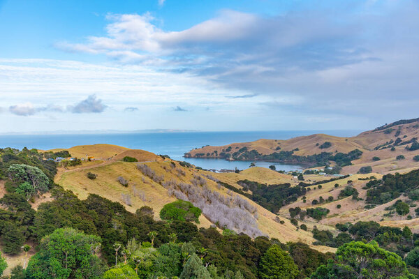 Landscape of Coromandel peninsula in New Zealand