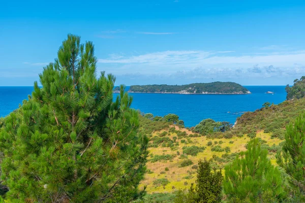 Kustlijn Van Het Schiereiland Coromandel Nieuw Zeeland — Stockfoto