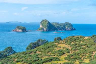 Yeni Zelanda 'daki Coromandel yarımadasının kıyısında.