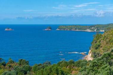 Yeni Zelanda 'daki Coromandel yarımadasının kıyısında.