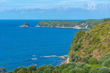 Yeni Zelanda 'daki Coromandel yarımadasının kıyısında.
