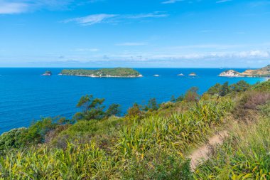 Yeni Zelanda 'daki Coromandel yarımadasının kıyısında.