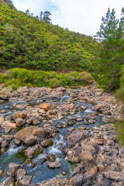 Yeni Zelanda 'daki Karangahake Boğazı' ndaki ohinemuri nehri.