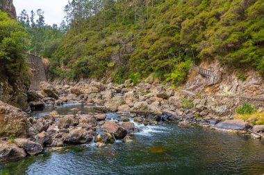 Yeni Zelanda 'daki Karangahake Boğazı' ndaki ohinemuri nehri.