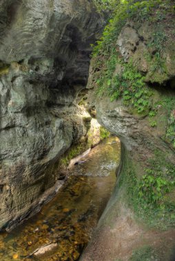 Yeni Zelanda 'daki Mangapohue Doğal Köprüsü