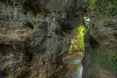 Yeni Zelanda 'daki Mangapohue Doğal Köprüsü