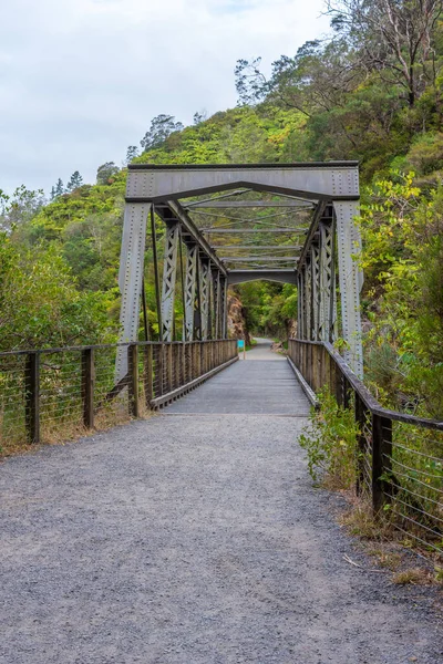 Antiga Ponte Ferroviária Karangahake Gorge Nova Zelândia — Fotografia de Stock